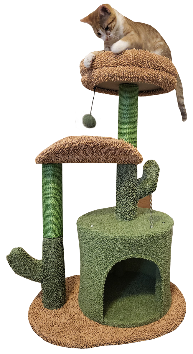 Best Cat Tree for Cats and Kittens